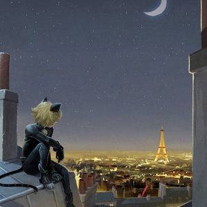 Meet your Posher, Zoe